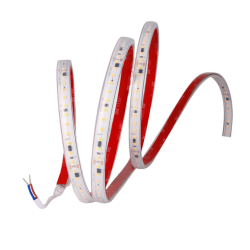 TIRA LED AC220 8MM 5W/m SMD2835 IP65 4000ºK