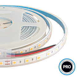 Rollo 5mts TIRA LED 24V 12W 60 LEDS/M SMD5050 IP65 6000ºK