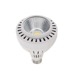 LÁMPARA LED 30W E27 PAR30 5500ºK