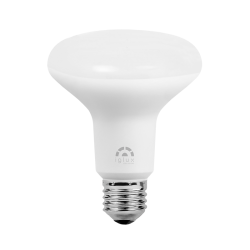 LÁMPARA R90 E27 12W 5500ºK